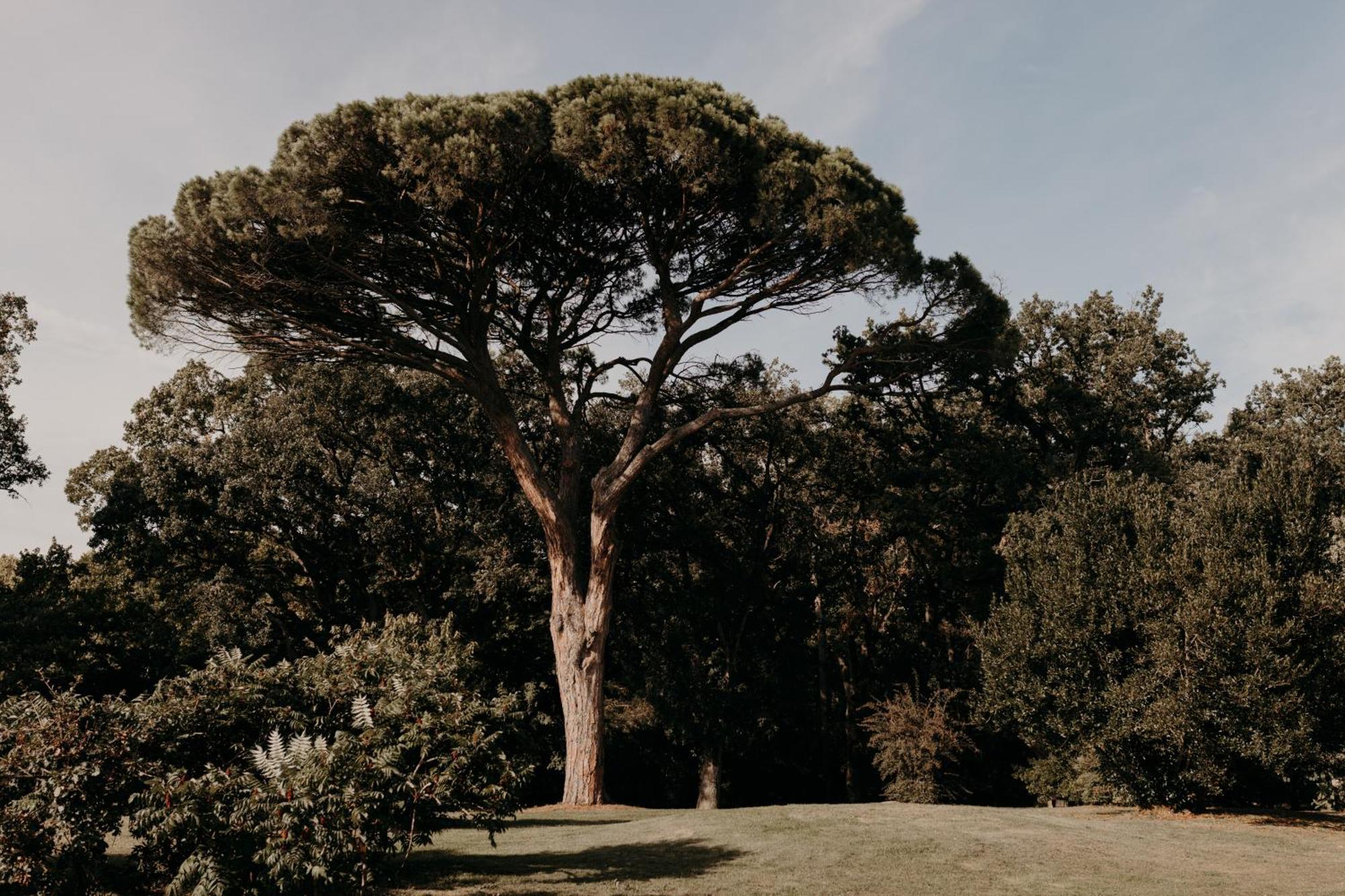 فندق Domaine D'En Fargou Saint-Sulpice  المظهر الخارجي الصورة